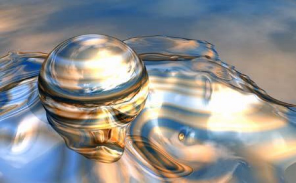 La métaphore de l'huître