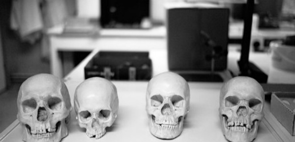 Archéologie forensique: de la fiction au réel