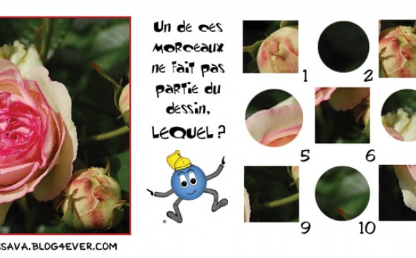 Jeu d'observation du 2 juin 2009