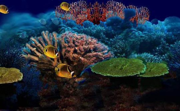 "Mer et Outre-Mer 2009"