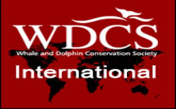 Les baleines à bosse en ligne de mire – l’Europe doit décider de leur destin