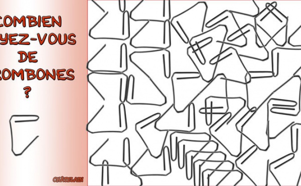 JEU d'observation du 19 juin 2009