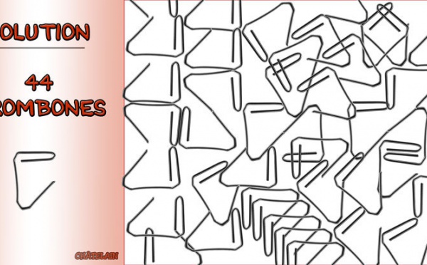 Solution du JEU d'observation du 19 juin 2009