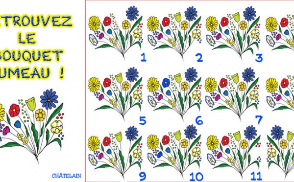 JEU d'observation du 28 juin 2009