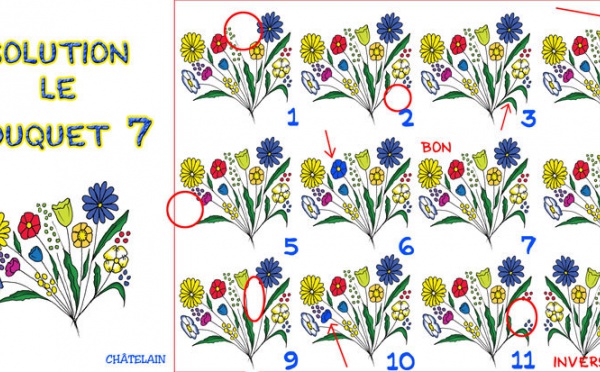 Solution du JEU d'observation du 28 juin 2009