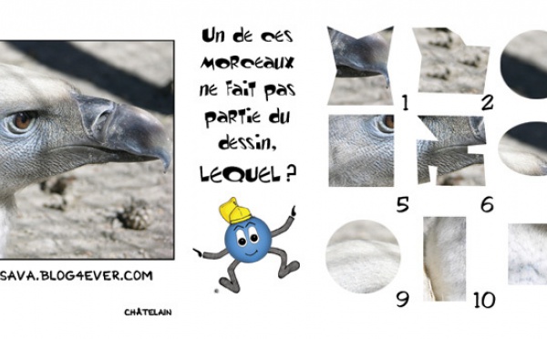 JEU d'observation du 9 juillet 2009