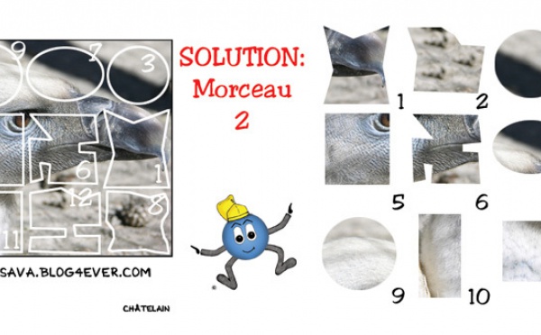 Solution du JEU d'observation du 9 juillet 2009