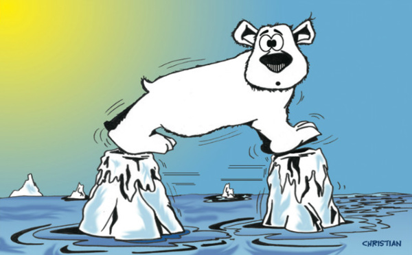 La canicule et les animaux 