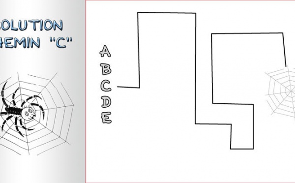 Solution du JEU d'observation du 18 juillet 2009