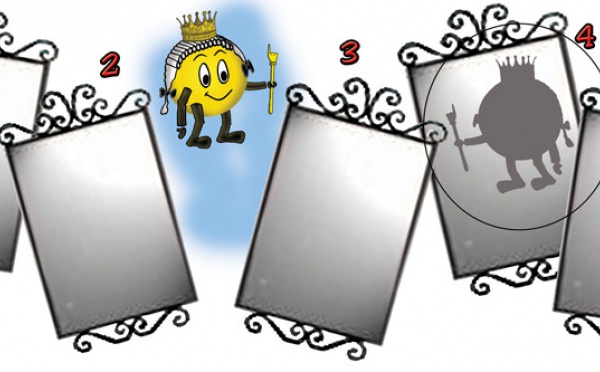 Solution du JEU d'observation du 29 juillet 2009