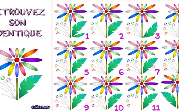 JEU d'observation du 3 août 2009