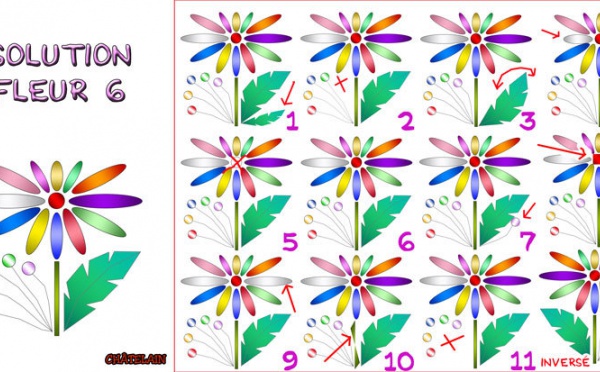 Solution du JEU d'observation du 3 août 2009