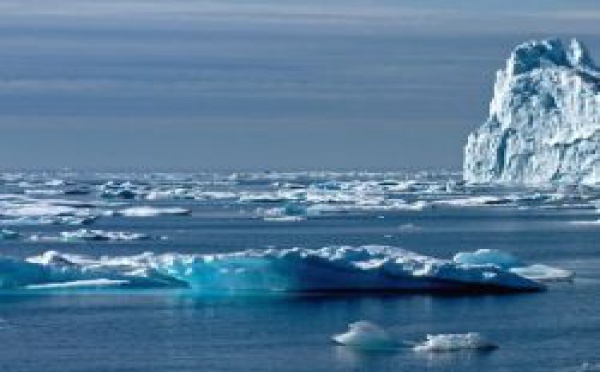 4e année polaire internationale : scientifiques et politiques peuvent-ils collaborer ? (2/4)