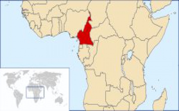 Cameroun : L’aide à la presse fait débat