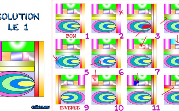 Solution du JEU d'observation du 21 août 2009