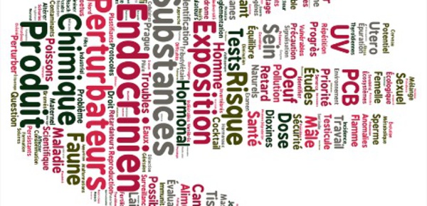 Les perturbateurs endocriniens, un enjeu et des dangers sanitaires majeurs
