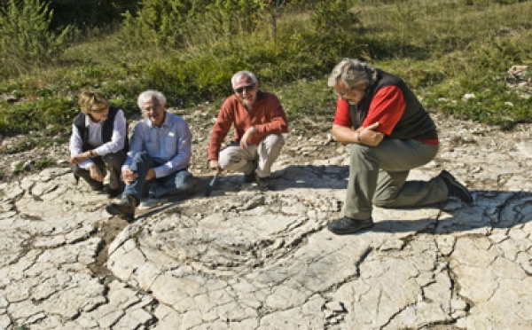 Découverte des plus grandes empreintes de dinosaure au monde