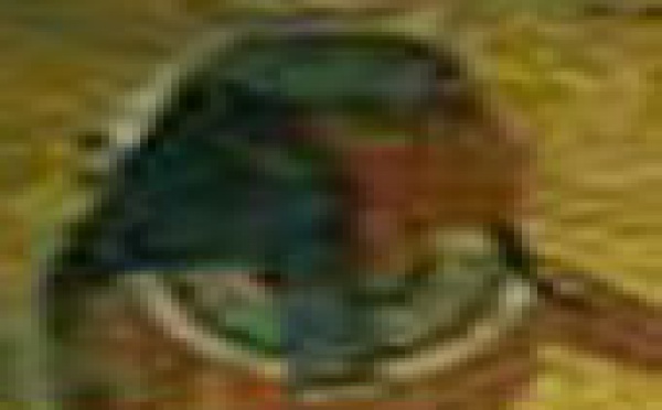 Polémique archéologique Paris-Le Caire