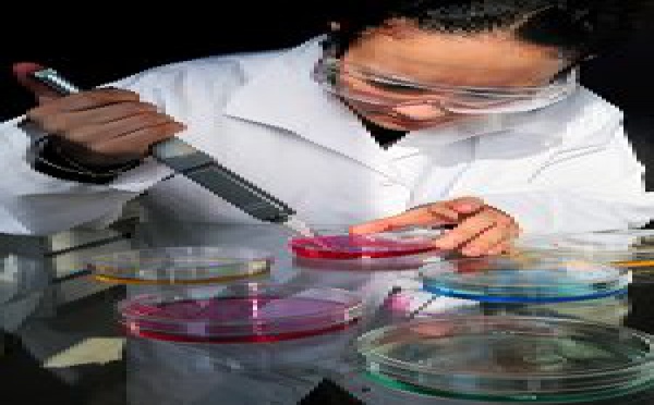 Cellules souches et médecine régénérative : Quelle est la véritable scène scientifique aujourd’hui ?