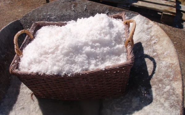 Le sel, un aliment indispensable : de la sacralité à l’impôt et la diabolisation
