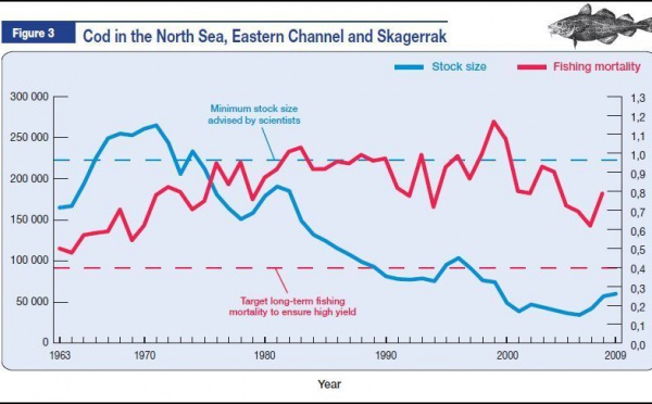 Pêche: proposition de la Commission européenne concernant les 'stocks' de poissons vivants