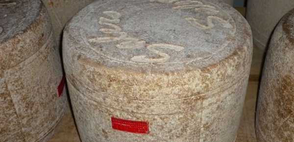 Le Salers, un grand fromage AOP, reflet des traditions cantaliennes