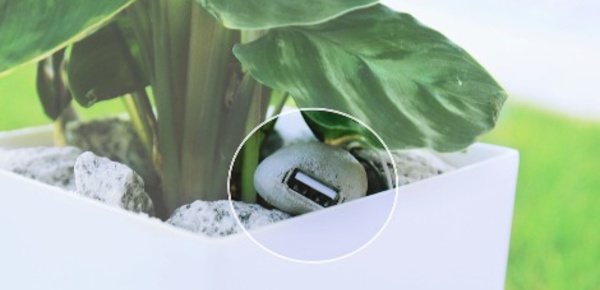 Recharger ses appareils électroniques avec des plantes