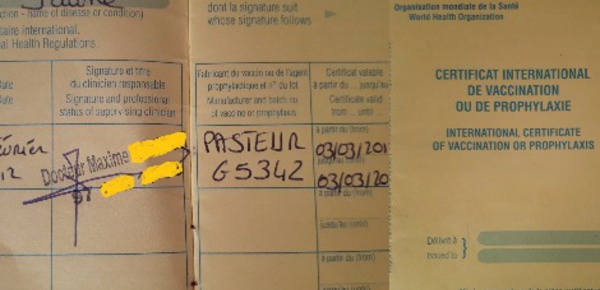 La fièvre jaune tue encore en Guyane