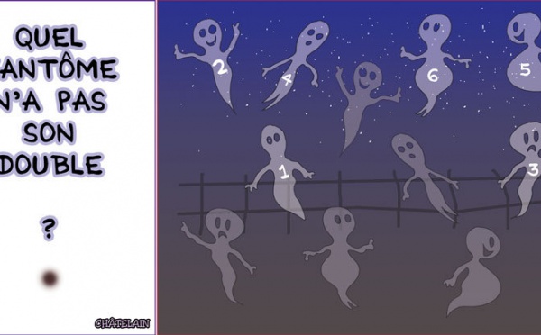 JEU d'observation du 4 novembre 2009