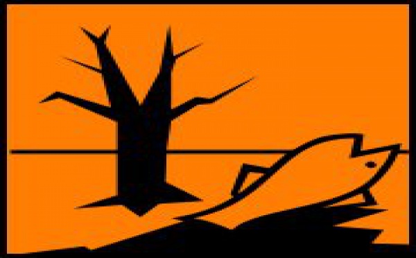 Pollution: un nouveau registre européen rend accessibles au public les informations