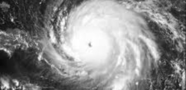 Irma: comment est né ce monstre des ouragans?