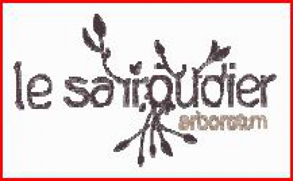 Graines et jardins de papillons