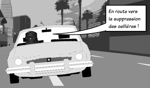 Voilées au volant