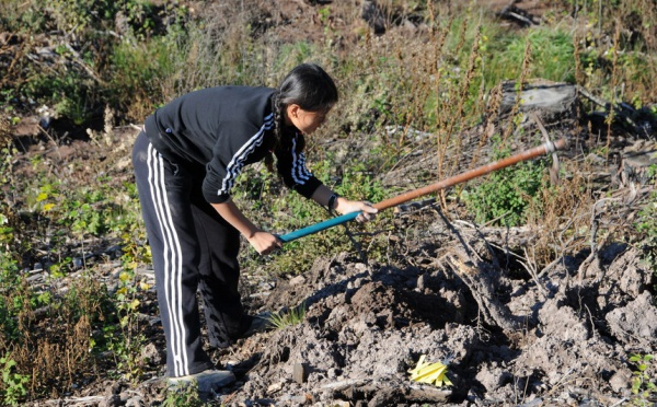 TOULON : Une Fondation d'entreprise s'implique avec les forces vives de la Provence