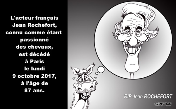 De mémoire d'éléphant à celle de cheval