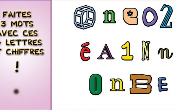 JEU d'observation du 1er janvier 2010