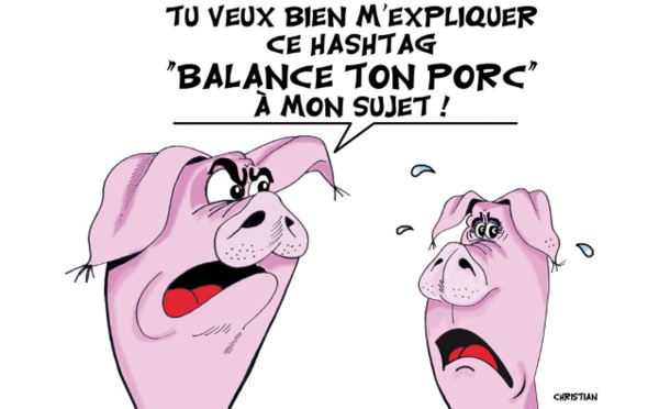 Les porcs répliquent