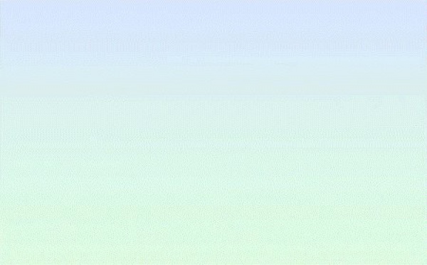 MEILLEURS VOEUX 2010 ...