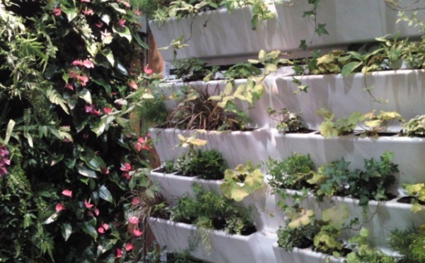 BATILUX 2010, visite en images