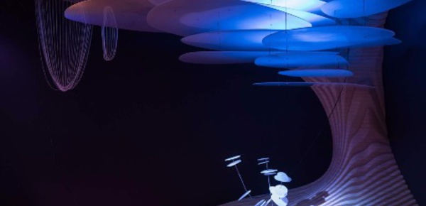 Immersion au cœur du végétal