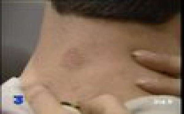 ECOLES: Lutte contre les violences