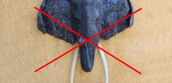 Trump se trompe sur les trompes