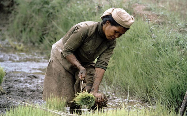ECONOMIE: UNE CROISSANCE PROPRE EST POSSIBLE DANS LES PAYS EN DÉVELOPPEMENT