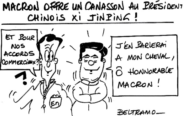 Cheval franco-chinois