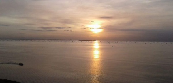 Journal de Manille: Une nature diverse et imprévisible            