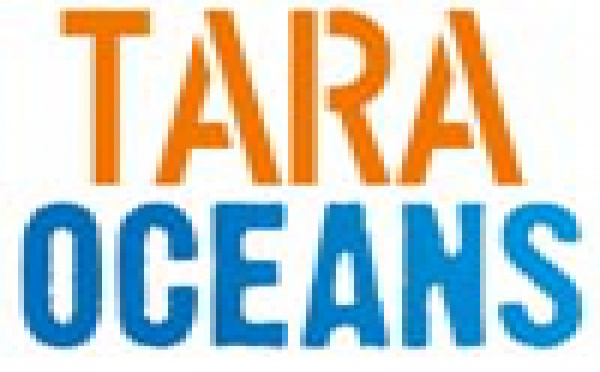 EXPEDITION TARA: Dernières nouvelles