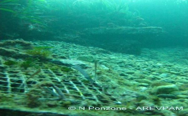 Les vagues dévoilent les installions du pionnier de G. Cooper en matière de posidonie à Hyères