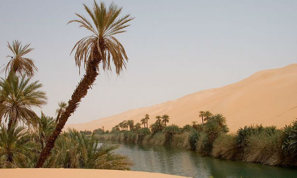 L'IMAGE DU JOUR: L'oasis Ubari