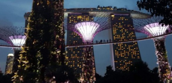 Un modèle mondiale de biodiversité