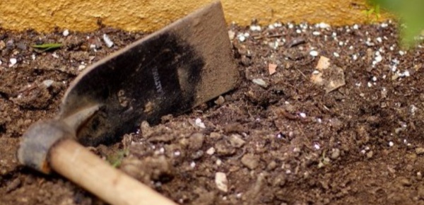 Les scientifiques tirent la sonnette d'alarme des sols